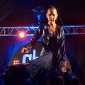 flamenco (105)